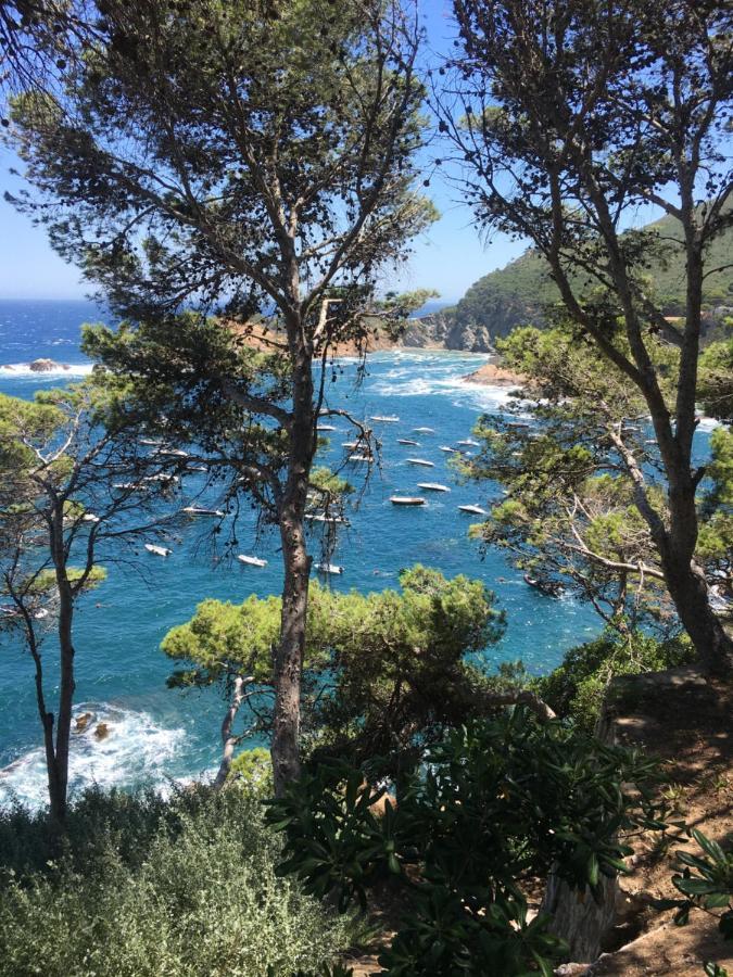 Апартаменты Cap Sa Sal Navy, Begur, Girona Экстерьер фото